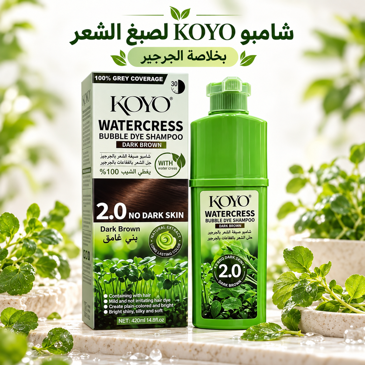koyo 2.0